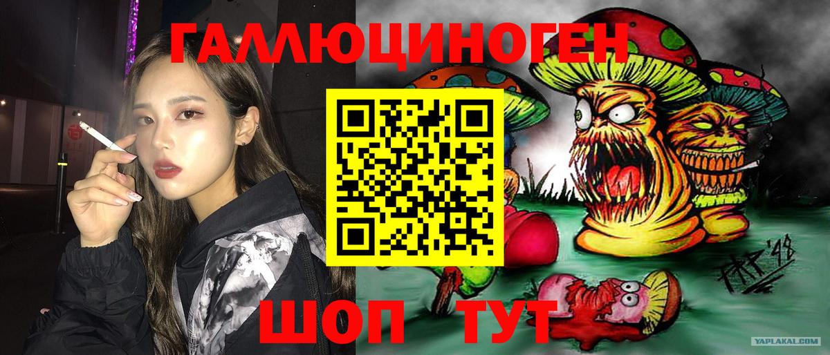 Елизово  Галлюциногенные грибы MAGIC MUSHROOMS  купить  цена  Вход с VPN 